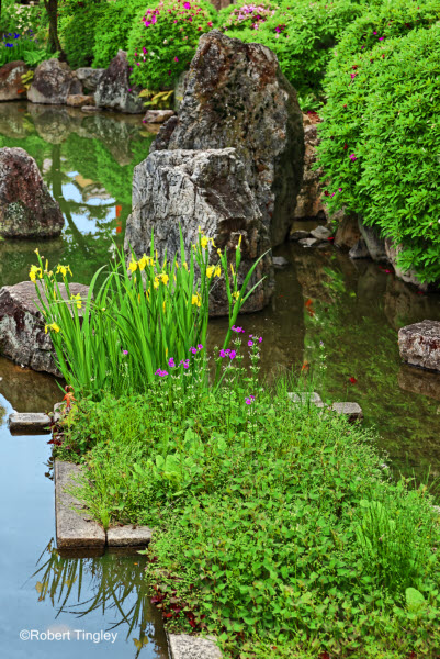 Kyoto #4389